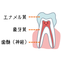 構造.gif