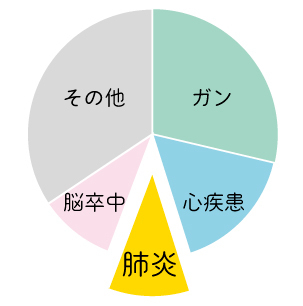 死因円グラフ.jpg